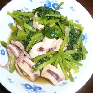 小松菜とイカのピリ辛炒め